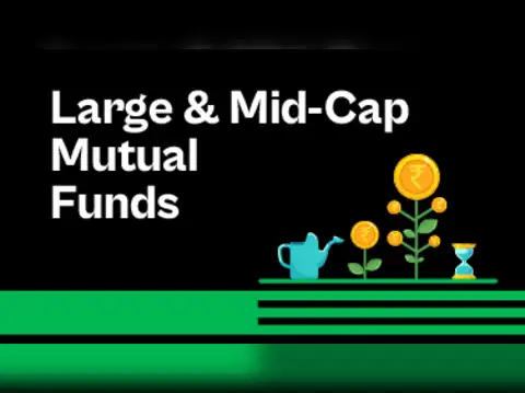 Large & mid cap funds