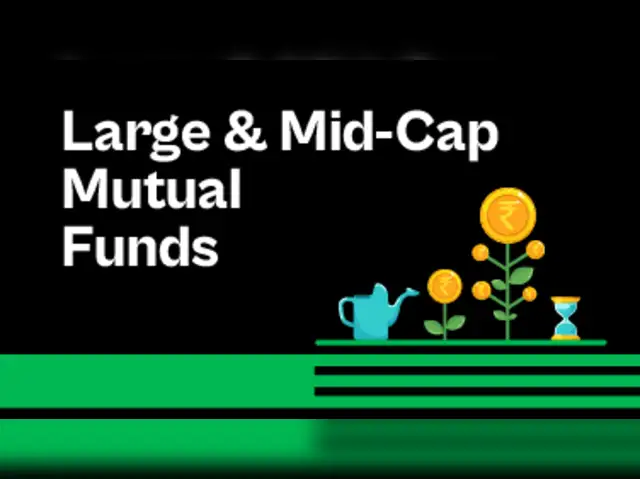 Large & mid cap funds