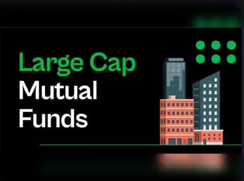 Large cap funds