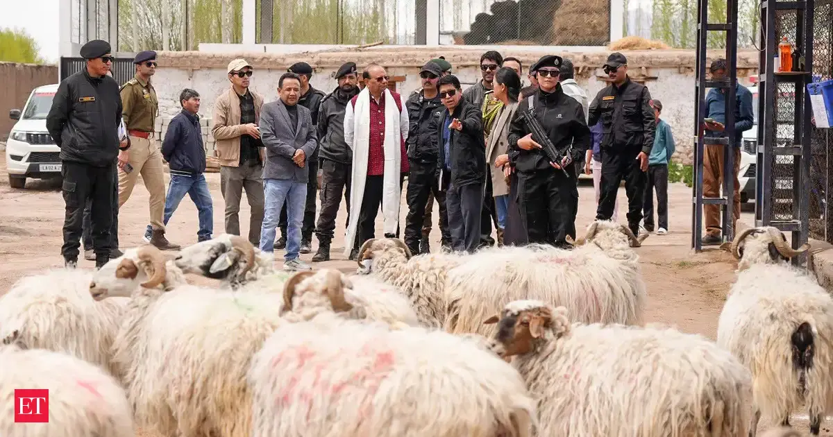 Ladakh LG Vinai Kumar Saxena decentralises land-use approvals to speed up development work