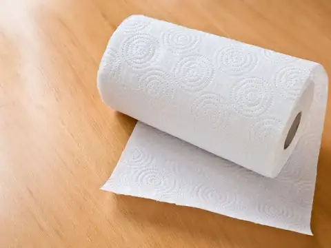  It Preserves The Shape Of The Shoe While Drying
