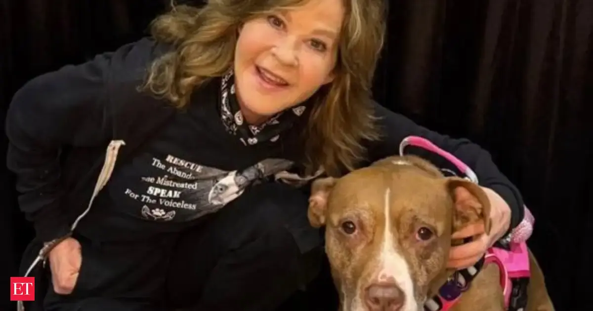 Linda Blair home raided: &lsquo;The Exorcist&rsquo; star&rsquo;s California property searched over reported kennel operation after officials make surprising discovery, here's what happened