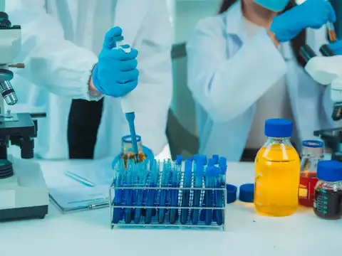 Divi's Labs crushes estimates with best margins in 5 years