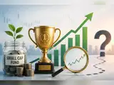 MF Tracker: Bandhan Small Cap Fund tops 3-year returns. Can the outperformance continue?