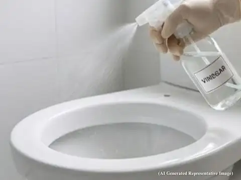 It Breaks Down Limescale Naturally