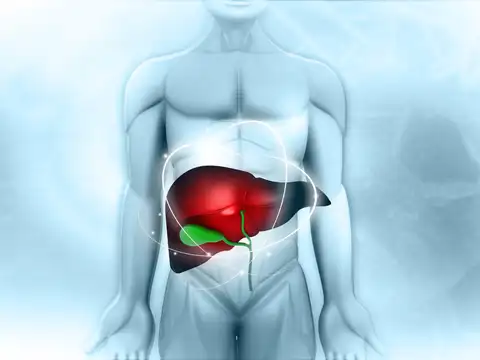 How milk thistle works inside the body