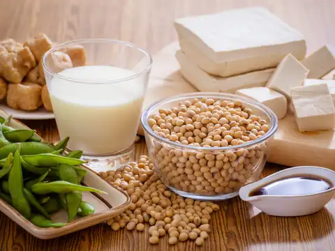 Soy Products