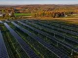 Massachusetts put 832 solar panels on 10-foot stilts above cropland; then farmers planted broccoli beneath them