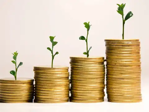 Nuvama Wealth beats estimates as capital markets business roars
