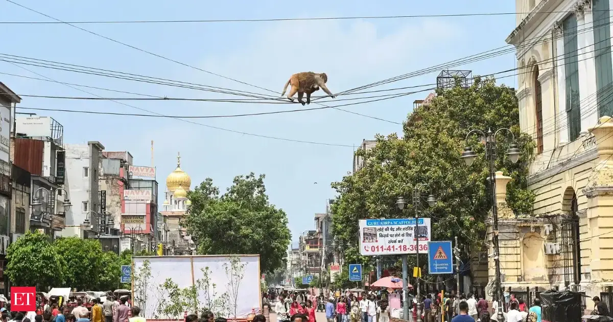 https://img.etimg.com/thumb/msid-133034535,width-1200,height-630,imgsize-307748,overlay-economictimes/articleshow.jpg