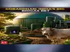 GOBARdhan scheme: How India plans to turn cattle dung and farm waste into clean fuel