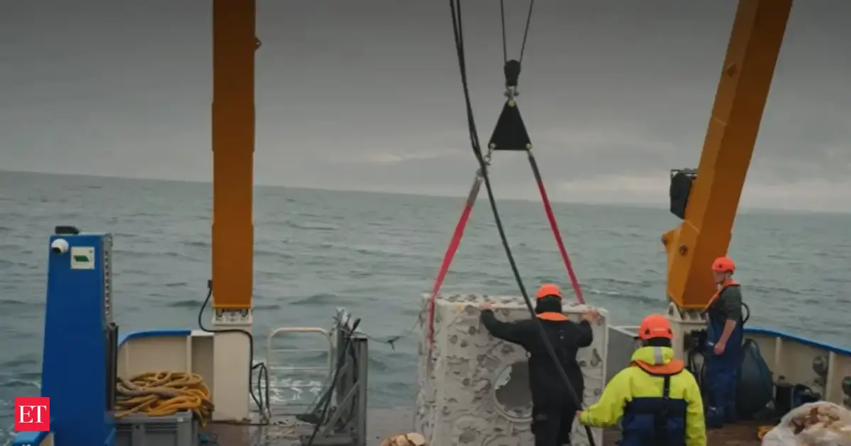 Britain used discarded seafood waste and engineered reef habitats to solve the collapse of native oyster ecosystems; the result transformed lifeless seabeds into thriving underwater habitats capable of supporting oysters, fish, and countless marine species