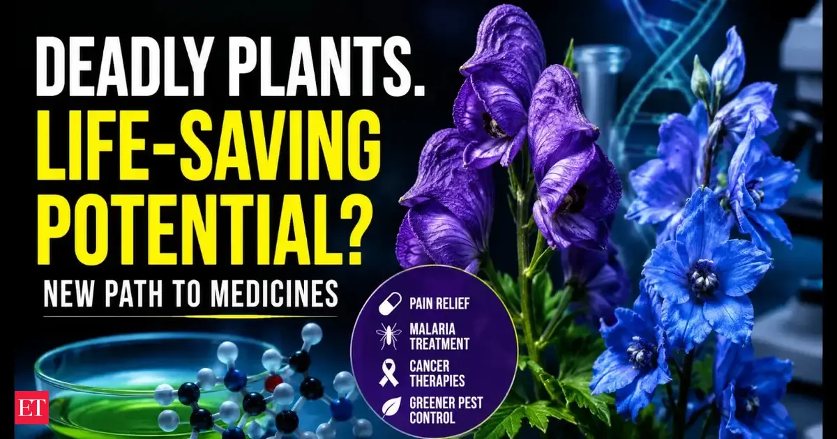 After years of study, scientists recreated the chemistry of two deadly plants in the laboratory. The breakthrough produced a surprising pathway to new painkillers, malaria treatments, cancer drugs, an