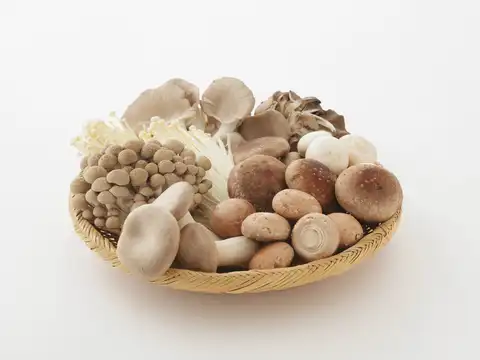Choose the right mushrooms for beginners