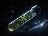 In 2006, NASA grew Salmonella in space; the bacteria returned more virulent than genetically identical germs cultivated on Earth
