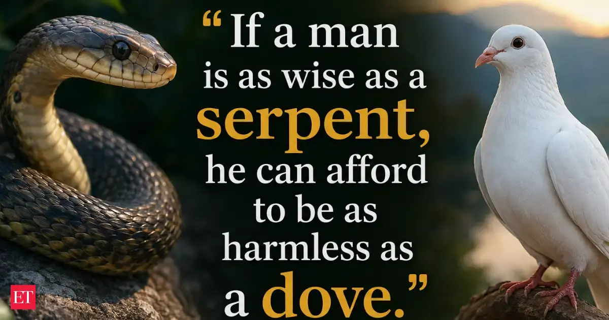 Cheyenne Proverb Of The Day If A Man Is As Wise As A Serpent He Can Afford To Be As Harmless As A Dove