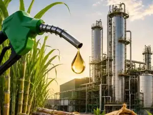 No concessions, commitments on ethanol import for fuel blending from US in trade talks