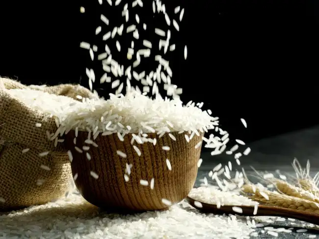 Rice ethanol