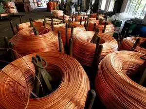 Hindustan Copper net rises over 2x in Q1
