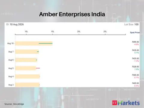 Amber Enterprises India 