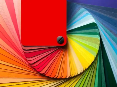 Colour Scheme Is Important Too