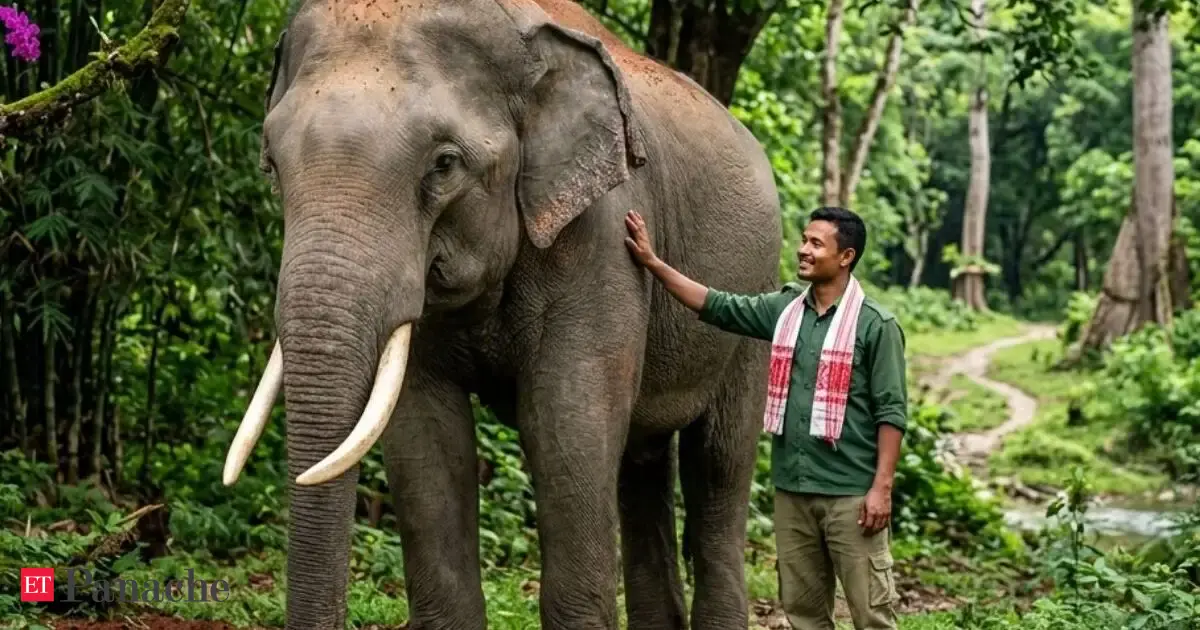 Bananas And Patience At 16 He Rescued A Lost Baby Elephant Now This Assam Man Shares An Unbreakable Bond With The Animal At Kaziranga National Park