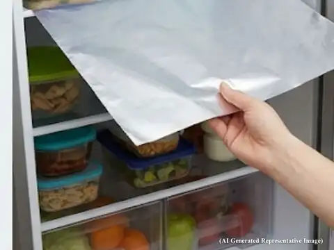 Fridge Shelves Carry More Bacteria Than You'd Think