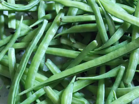 Beans