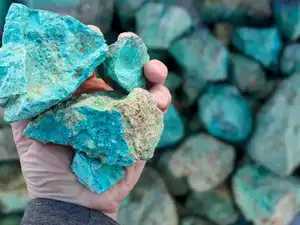 The Supreme Court will hear pleas on May 20 concerning legislative power to tax mineral rights, as the Centre's curative petition is pending.