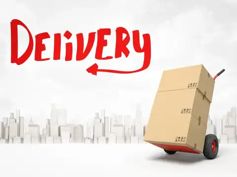 Delhivery's volumes are booming; why did the profit crash?
