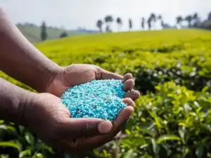 Parliamentary panel asks govt to consider reviving urea plants at Durgapur, Haldia, Korba to boost output