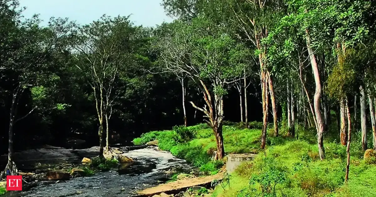Cag Report Green India Mission Falls Short By 98 In Forest Cover Targets Citing Mismanagement