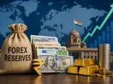 Forex reserves soar to $707 billion, highest so far in current fiscal