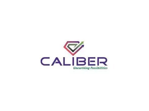 Caliber Mining & Logistics