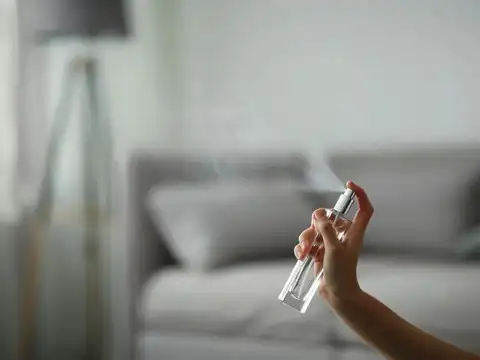 Help remove room odours