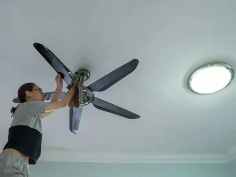 Clean ceiling fans