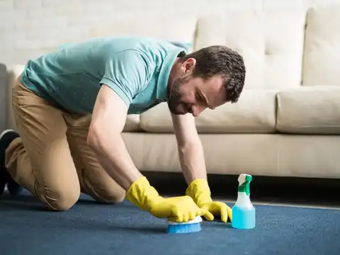 Freshen carpets and rugs