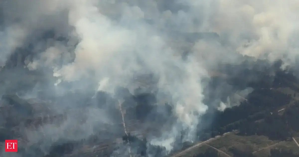 Photo: economictimes.indiatimes.com Belgium's Largest Wildfire Forces Evacuations Near German Border