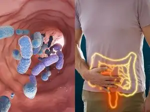 Wrong diet can make your gut bacteria 'eat you': Feeding it the right food helps protect your body. Research reveals what to eat?