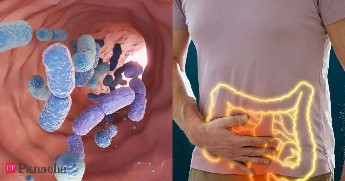 Wrong Diet Can Make Your Gut Bacteria Eat You Feeding It The Right Food Helps Protect Your Body Research Reveals What To
