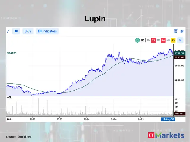 Lupin 