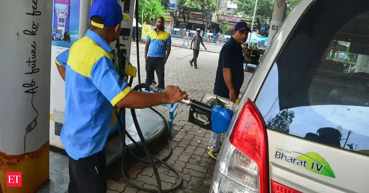 India should bring back fuel with lower blend of ethanol, chief economic adviser says