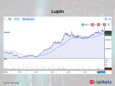 Lupin 