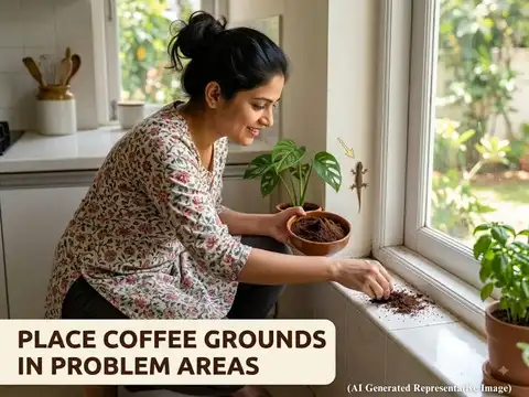 Place Coffee Grounds In Problem Areas