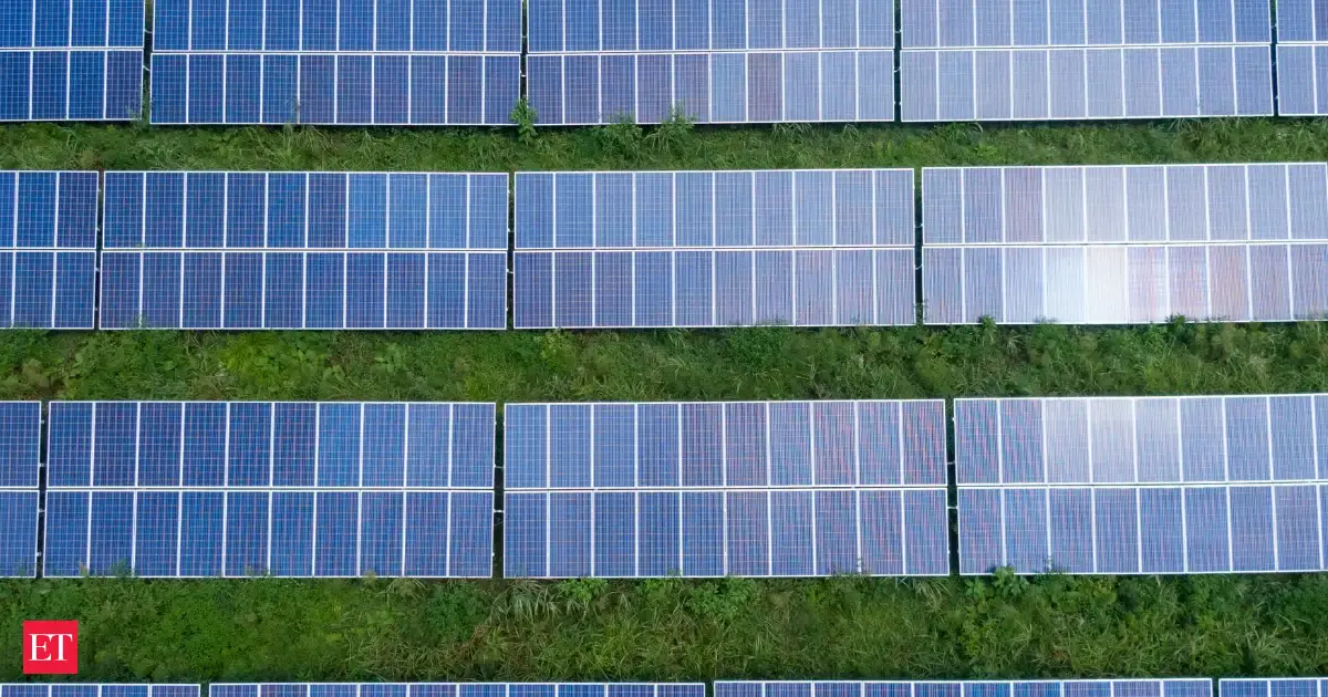 Researchers Studied 20 French Solar Farms Beneath The Panels Pollinators Fell 76 And Plant Pollinator Interactions Plung