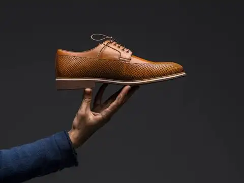 Polish Leather Shoes Or Bags With It