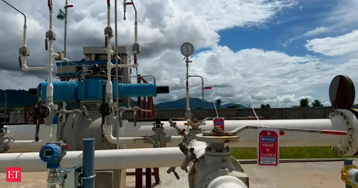 Nagaland gets its first natural gas supply via National Gas Grid