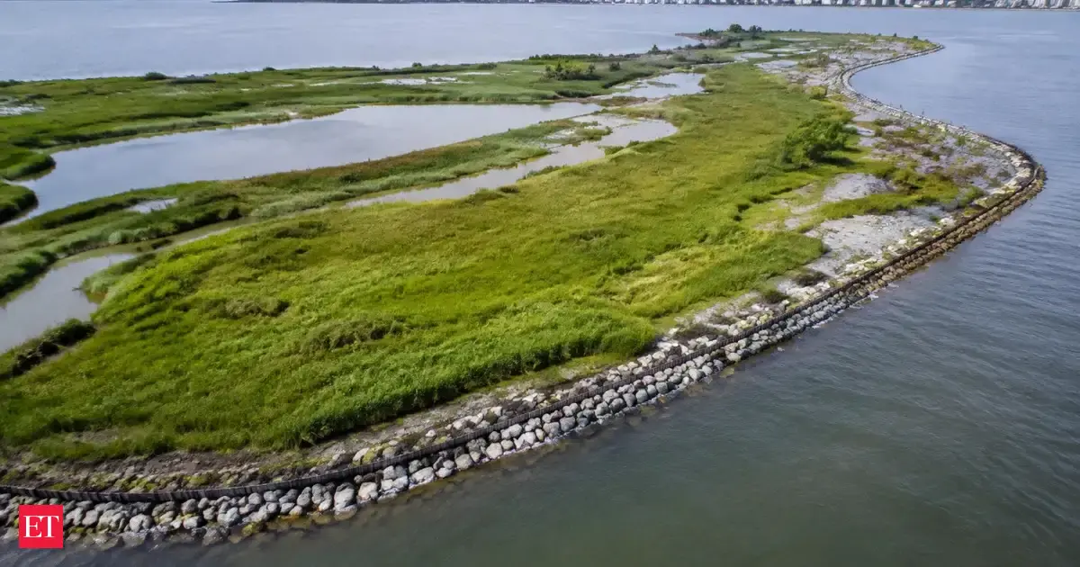 In 2006, engineers reused 250,000 cubic yards of dredged sand to restore Elders Point East in Jamaica Bay. 10 years later, the approach had restored 40 acres of wetlands and helped reverse marsh-island erosion