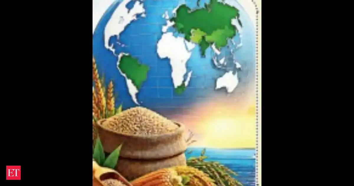 BRICS Weighs Russia’s Grain Exchange Plan