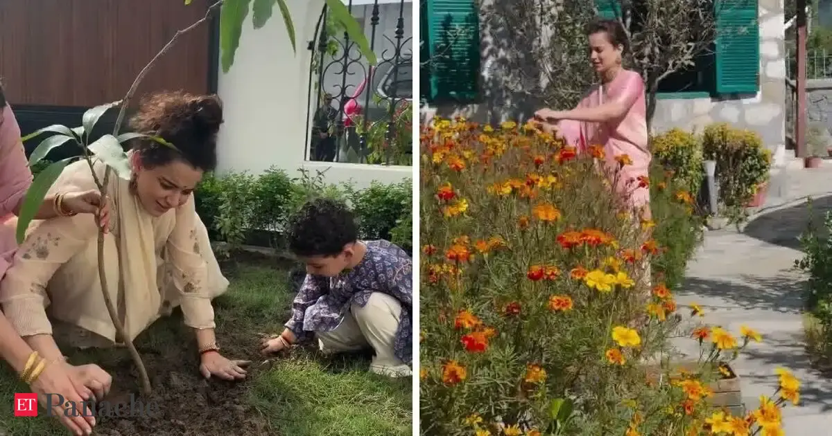 Kangana Ranaut is obsessed with kitchen gardening: 5 unique home gardening ideas to steal from the Bollywood actress-politician